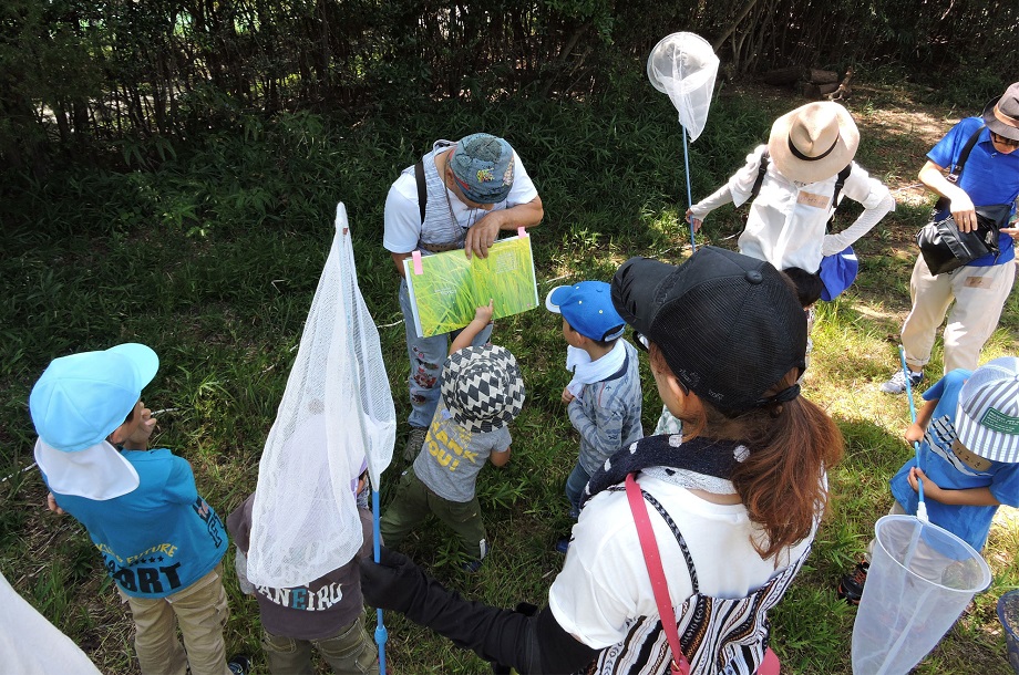 是森林的志愿者"kikimimizukin"的小导游的样子。